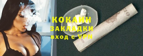 МДПВ Михайлов