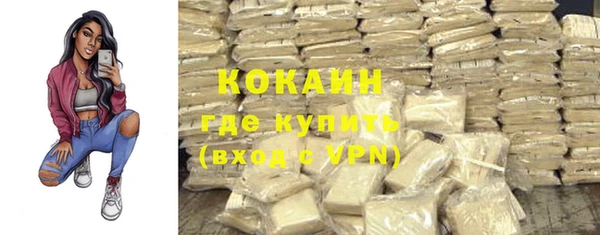 МДПВ Михайлов